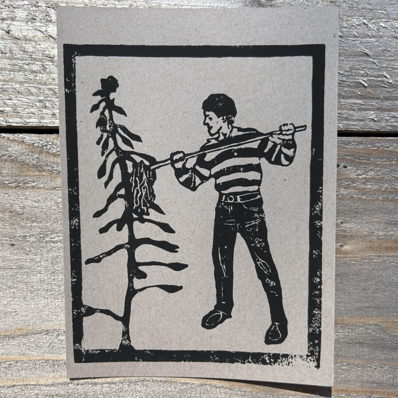 He's mopping the plants stragetically