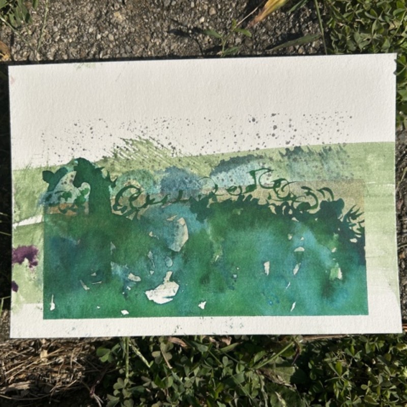 Switchgrass Celebration (Timid Version)