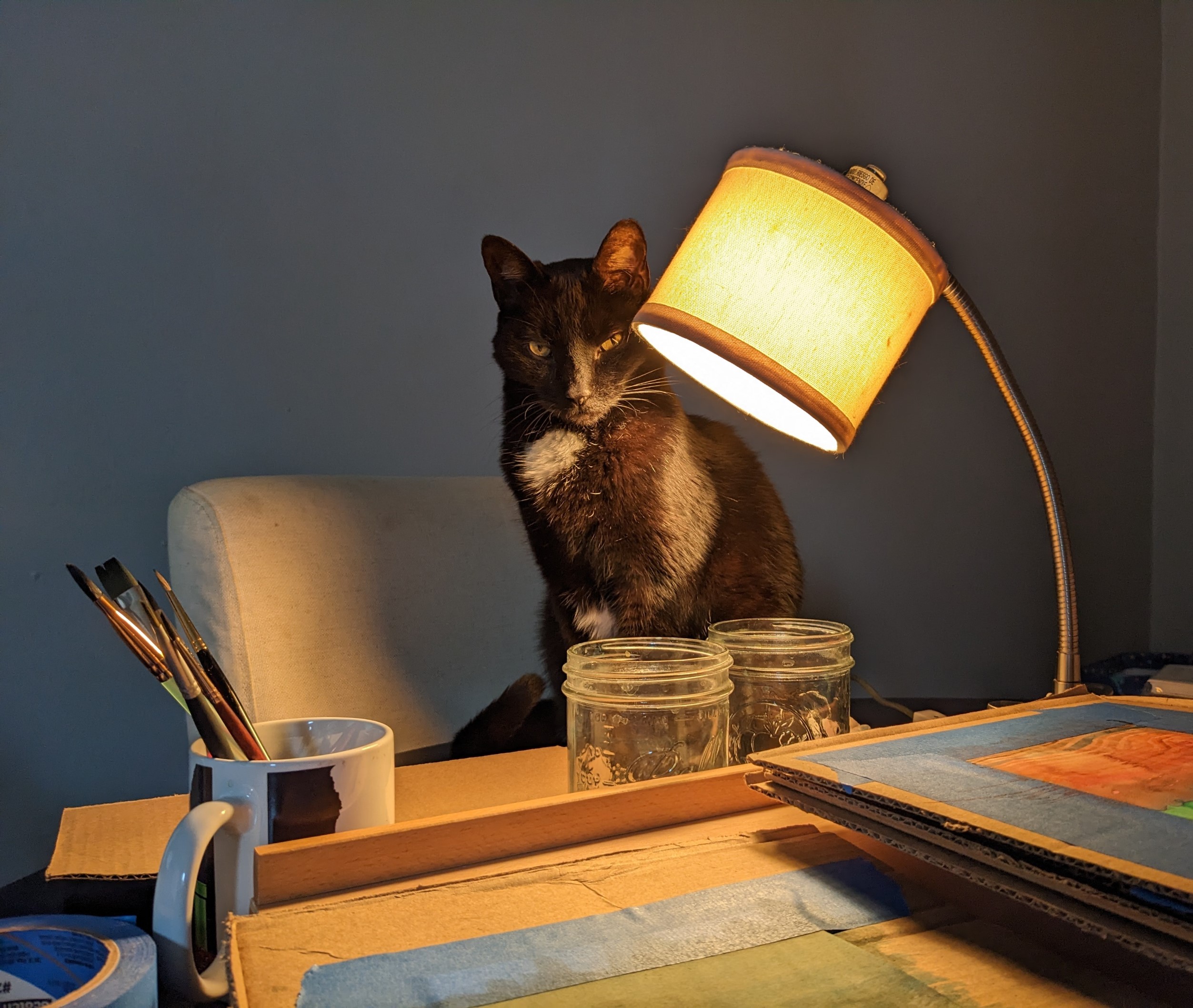Cat with lamp
