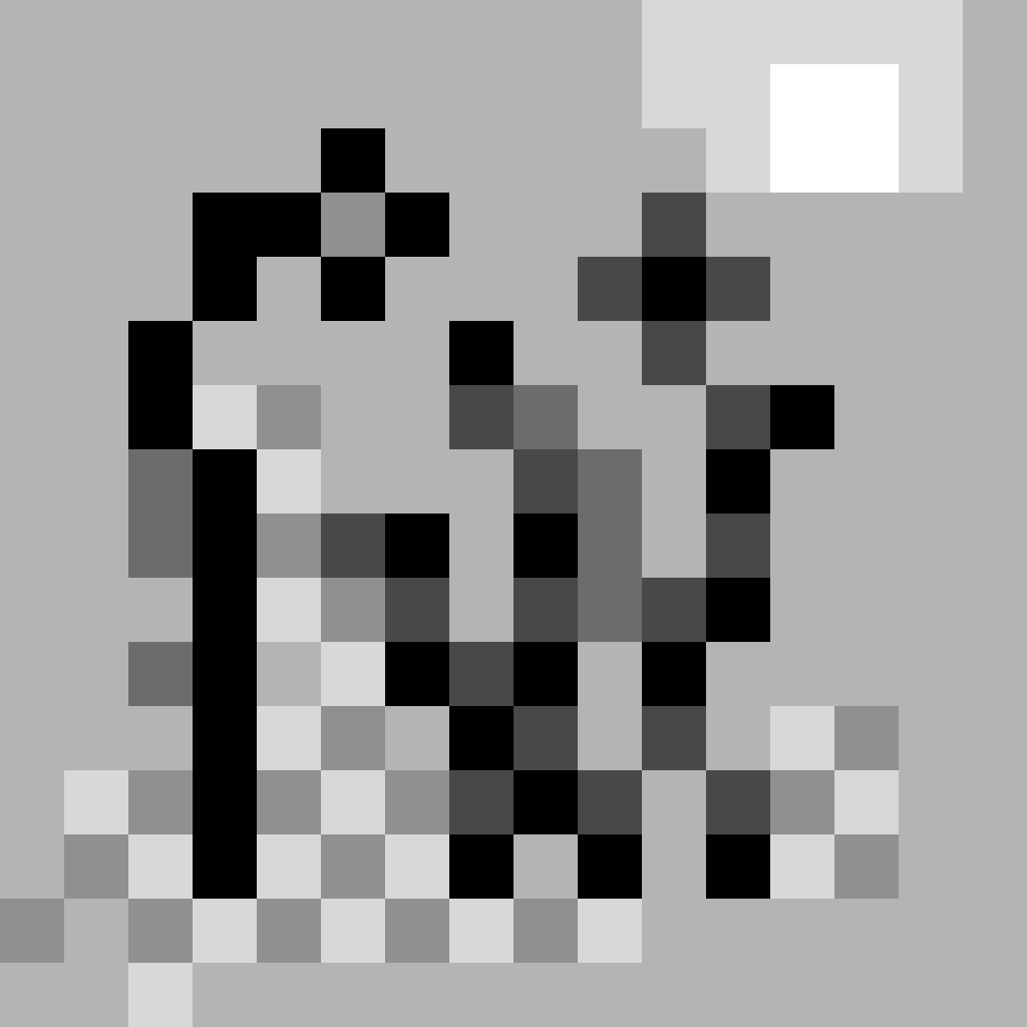 pixL 1